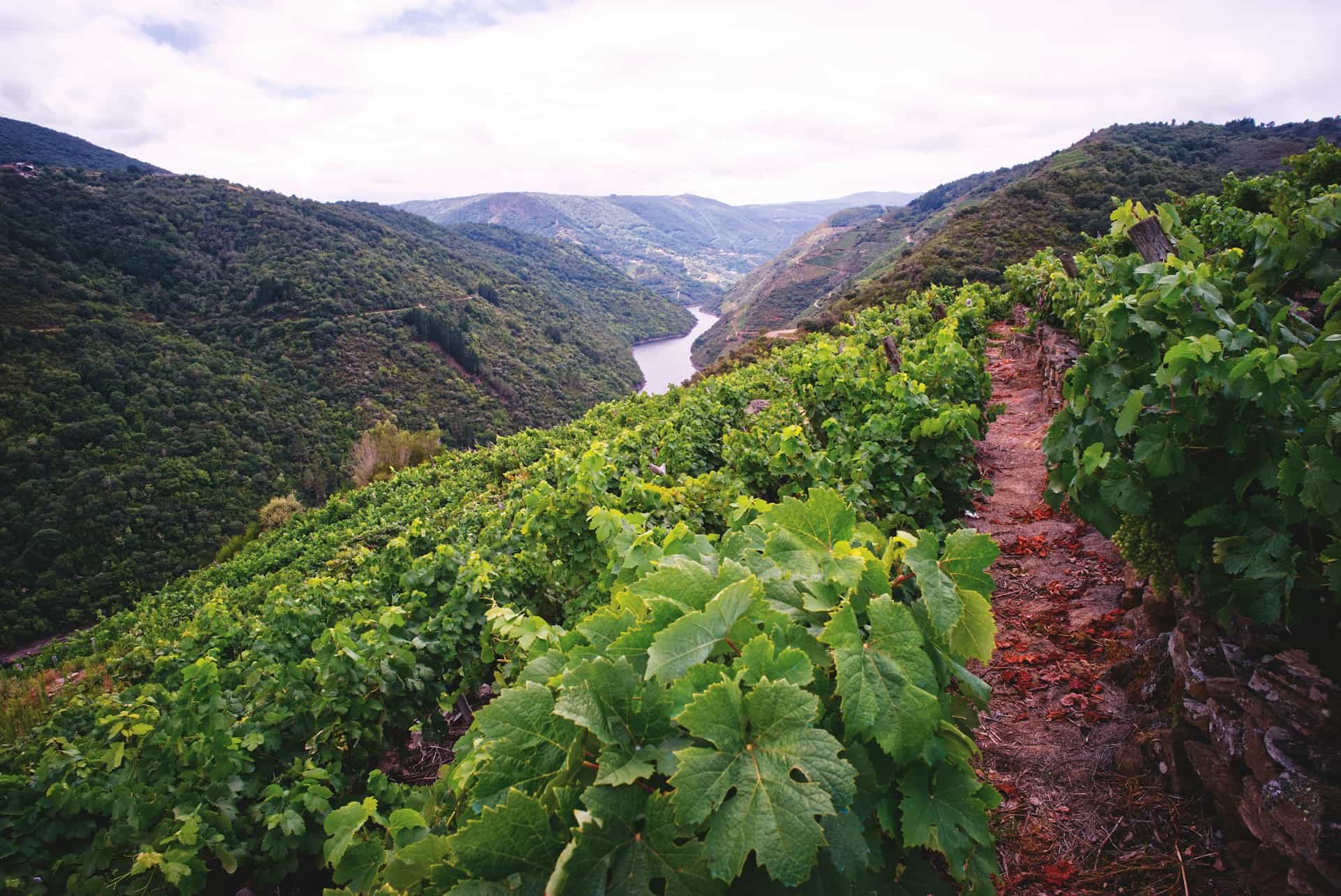 Food and wine tours with locals Food and wine tours with locals